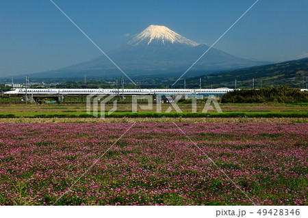 世界遺産　富士山　新幹線　静岡　富士市 49428346
