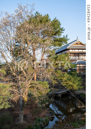 前橋公園　臨江閣　群馬県 49428455