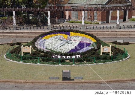 こうべ花時計 49429262