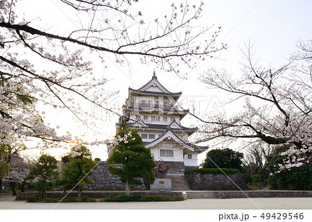 千葉城 桜 の写真素材