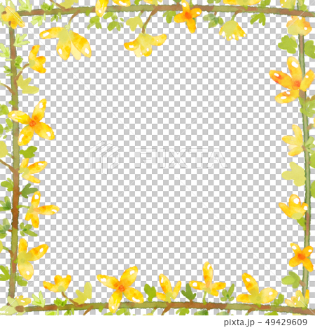 Forsythia flower frame.- Wedding, poster, cover 49429609