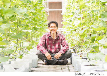 Asian farmer sitting in melon farm Asian farmer sitting in melon farm 49429785
