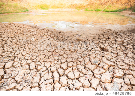 Cracked soil in the pond, drought in summer Cracked soil in the pond, drought in summer 49429796