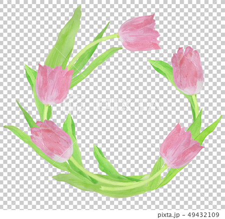 tulip wreath　チューリップ　リース　水彩 49432109