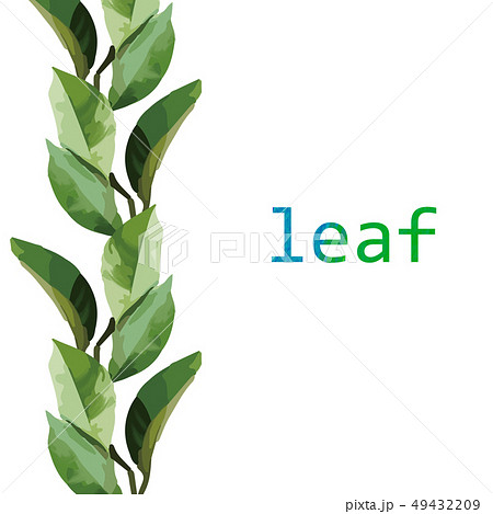 透明水彩 水彩画 背景 49432209