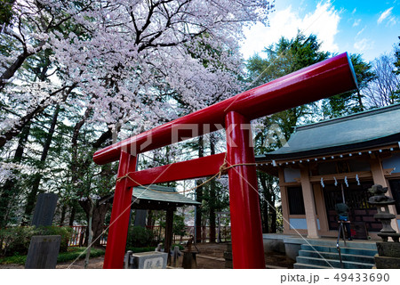 稲荷諏訪合神社 稲荷諏訪合神社 49433690