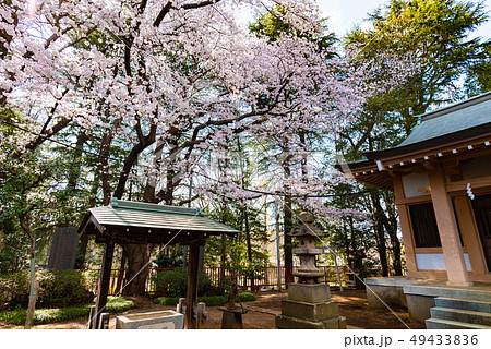稲荷諏訪合神社 稲荷諏訪合神社 49433836