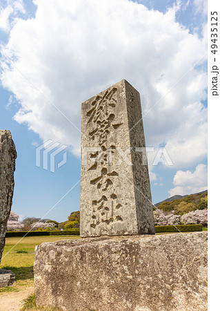 大宰府政庁跡(都府楼跡)福岡県太宰府市 新元号「令和」ゆかりの地 大宰府政庁跡(都府楼跡)福岡県太宰府市 新元号「令和」ゆかりの地 49435125