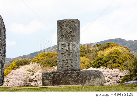 大宰府政庁跡(都府楼跡)福岡県太宰府市 新元号「令和」ゆかりの地 大宰府政庁跡(都府楼跡)福岡県太宰府市 新元号「令和」ゆかりの地 49435129