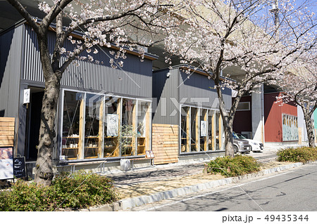 名古屋市北区　名鉄瀬戸線　尼ヶ坂駅～清水駅間　SAKUMACHI商店街と桜並木 49435344