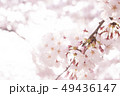 桜 49436147