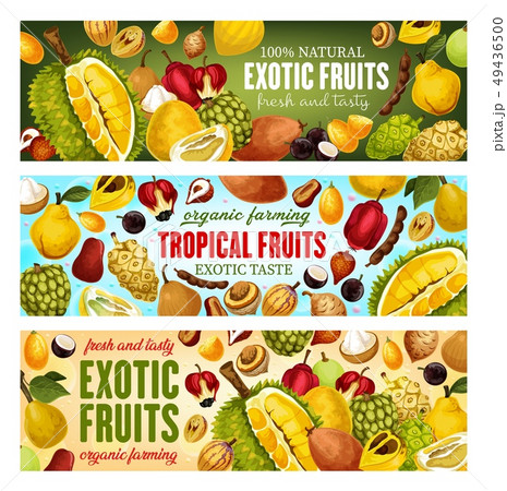 Exotic fruits and berries. Tropical food, drink 49436500