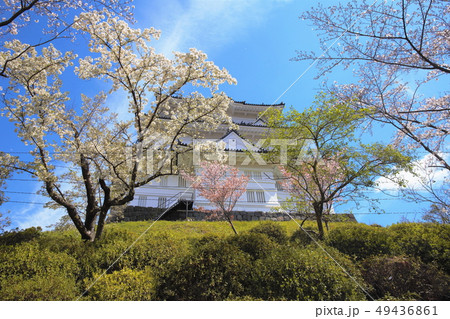 小田原城 小田原城 49436861