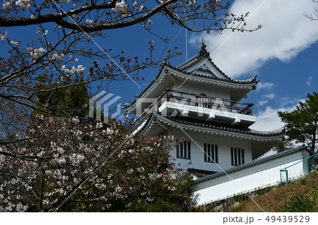 春の尾張大野城 春の尾張大野城 49439529