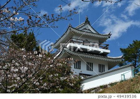 春の尾張大野城 49439536