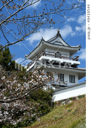 春の尾張大野城 春の尾張大野城 49439544