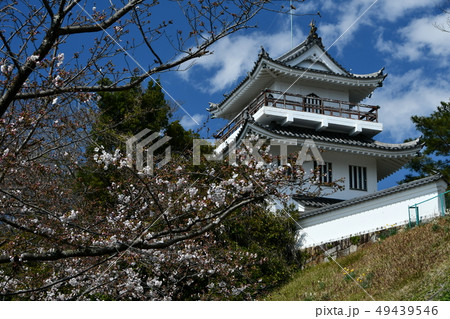 春の尾張大野城 春の尾張大野城 49439546