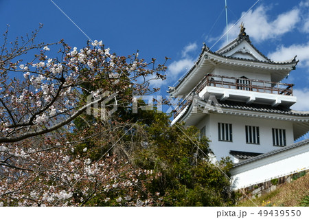 春の尾張大野城 春の尾張大野城 49439550