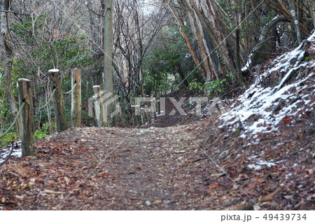 うっすらと残雪が残る、山頂へと続く登山道 49439734