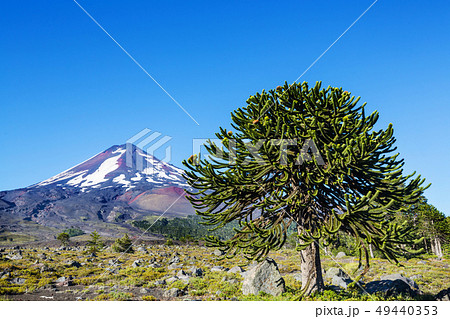Chile landscape 49440353