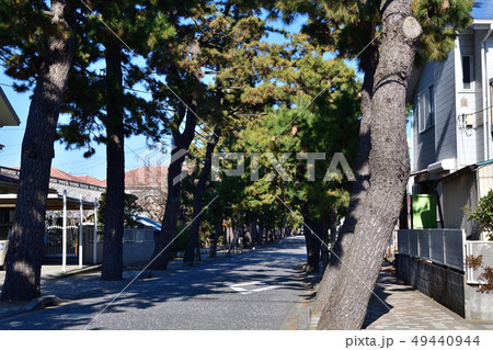 鶴嶺八幡宮 参道 鶴嶺八幡宮 参道 49440944