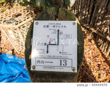 京都トレイル:西山コース 京都トレイル:西山コース 49440970