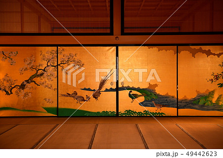 名古屋城本丸御殿 名古屋城本丸御殿 49442623