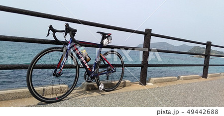 ロードバイクからの海!! 49442688