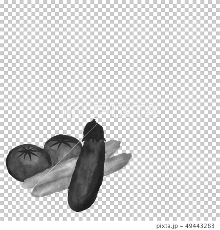 茄子,黃瓜,番茄,水墨,插圖,灰色,手寫 茄子,黃瓜,番茄,水墨,插圖,灰色,手寫 49443283