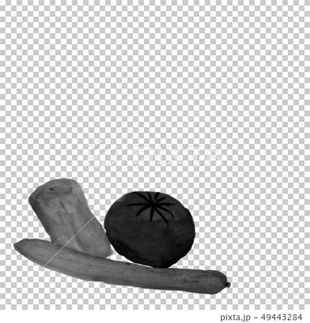 黃瓜,胡椒,番茄,水墨,插圖,灰色,手寫 黃瓜,胡椒,番茄,水墨,插圖,灰色,手寫 49443284