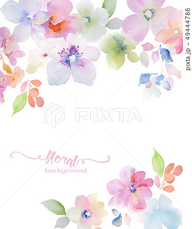 透明水彩 水彩画 花 49444786