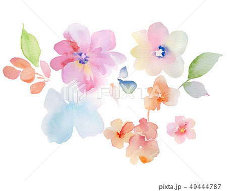 透明水彩 水彩画 花 49444787