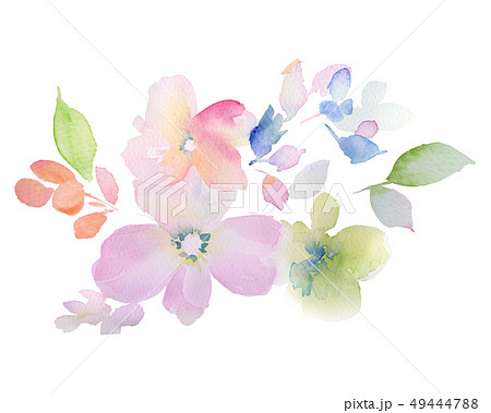 透明水彩 水彩画 花 49444788