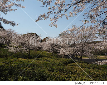 岳ノ木場公園（長崎県大村市） 49445051