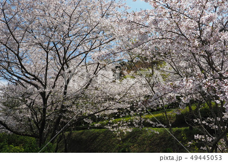 岳ノ木場公園（長崎県大村市） 49445053