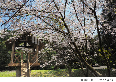 岳ノ木場公園（長崎県大村市） 49445073