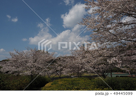岳ノ木場公園（長崎県大村市） 49445099