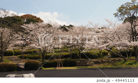 岳ノ木場公園(長崎県大村市) 岳ノ木場公園(長崎県大村市) 49445113