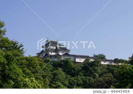 和歌山城天守の景色 和歌山城天守の景色 49445404