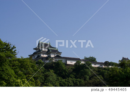 和歌山城天守の景色 和歌山城天守の景色 49445405