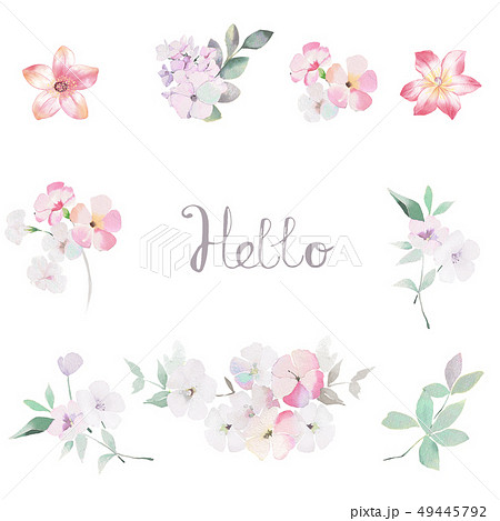 透明水彩 水彩画 花 49445792