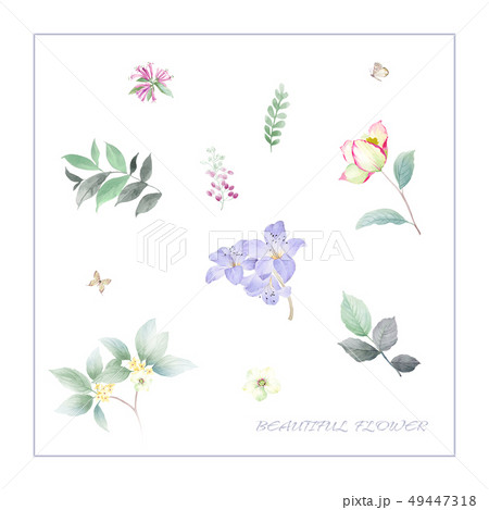 透明水彩 水彩画 花 49447318