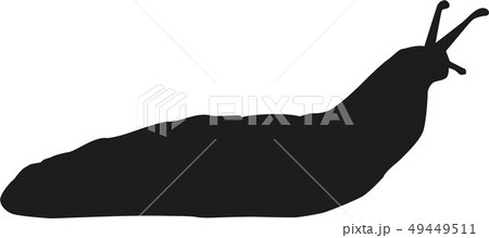 Slug silhouette Slug silhouette 49449511