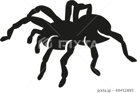 spider_real.eps 49452895