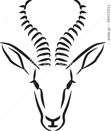 Springbok head caligraphy style Springbok head caligraphy style 49452911