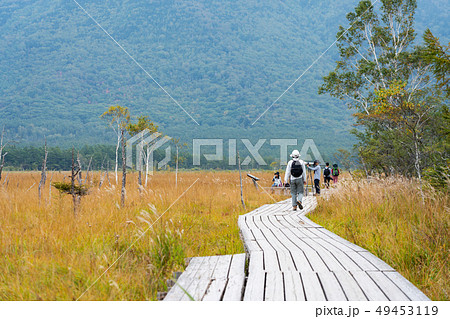 栃木県日光市 戦場ヶ原 (9月) 栃木県日光市 戦場ヶ原 (9月) 49453119