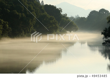 朝霧の清流　朝の清流　川霧 49453485