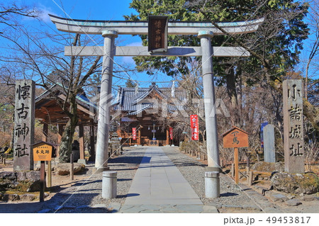 【長野県】晴天下の小諸城址 懐古神社 【長野県】晴天下の小諸城址 懐古神社 49453817