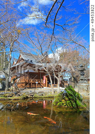 【長野県】晴天下の小諸城址　懐古神社 49453822