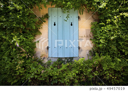 Shutter 49457019